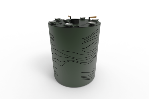 Хумай фото в Казани